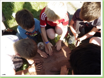 Klicken Sie auf das Bild, um es zu vergrößern