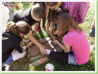 Klicken Sie auf das Bild, um es zu vergrößern