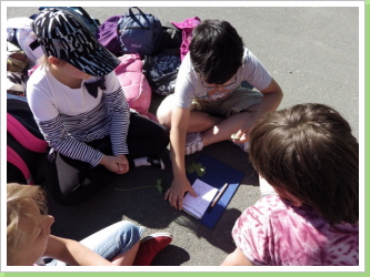 Klicken Sie auf das Bild, um es zu vergrößern