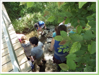 Klicken Sie auf das Bild, um es zu vergrößern