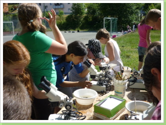 Klicken Sie auf das Bild, um es zu vergrößern