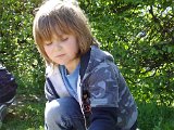 PICT0310.jpg